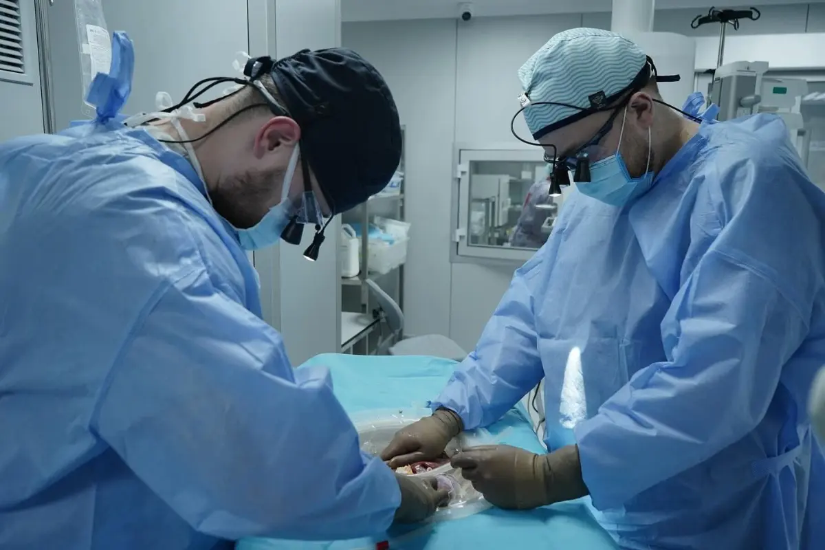 Проведено першу трансплантацію печінки