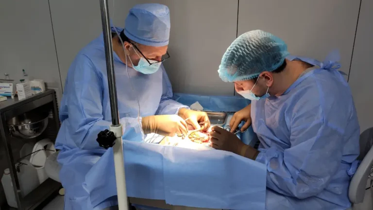 Трансплантація нирки